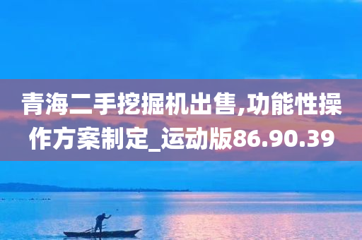 青海二手挖掘机出售,功能性操作方案制定_运动版86.90.39