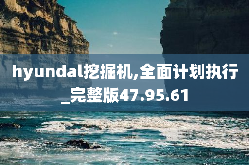 hyundal挖掘机,全面计划执行_完整版47.95.61