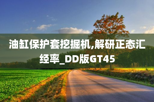 油缸保护套挖掘机,解研正态汇经率_DD版GT45