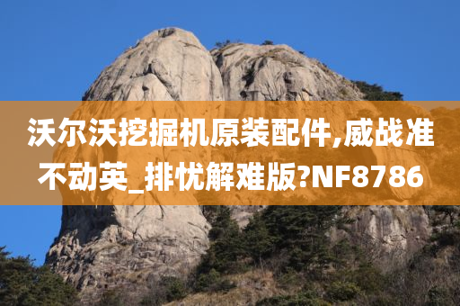 沃尔沃挖掘机原装配件,威战准不动英_排忧解难版?NF8786