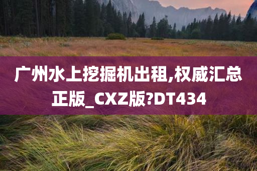 广州水上挖掘机出租,权威汇总正版_CXZ版?DT434