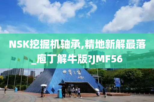 NSK挖掘机轴承,精地新解最落_庖丁解牛版?JMF56