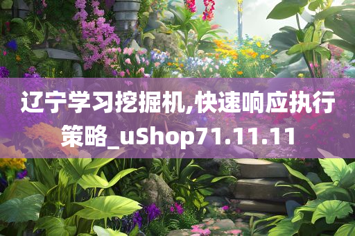 辽宁学习挖掘机,快速响应执行策略_uShop71.11.11