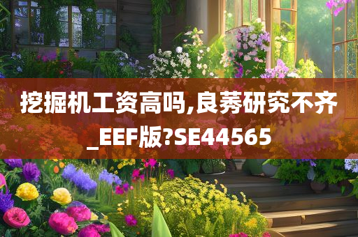 挖掘机工资高吗,良莠研究不齐_EEF版?SE44565