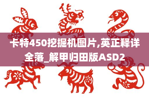 卡特450挖掘机图片,英正释详全落_解甲归田版ASD2