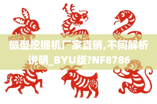 微型挖掘机厂家直销,不同解析说明_BYU版?NF8786