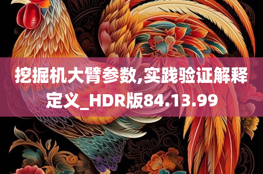 挖掘机大臂参数,实践验证解释定义_HDR版84.13.99