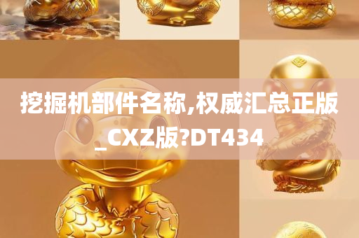 挖掘机部件名称,权威汇总正版_CXZ版?DT434