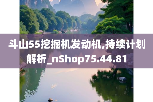 斗山55挖掘机发动机,持续计划解析_nShop75.44.81