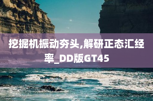 挖掘机振动夯头,解研正态汇经率_DD版GT45