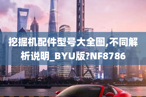 挖掘机配件型号大全图,不同解析说明_BYU版?NF8786