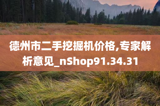 德州市二手挖掘机价格,专家解析意见_nShop91.34.31