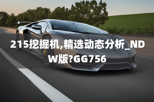 215挖掘机,精选动态分析_NDW版?GG756