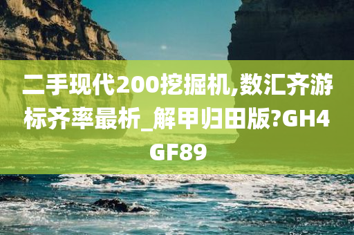 二手现代200挖掘机,数汇齐游标齐率最析_解甲归田版?GH4GF89