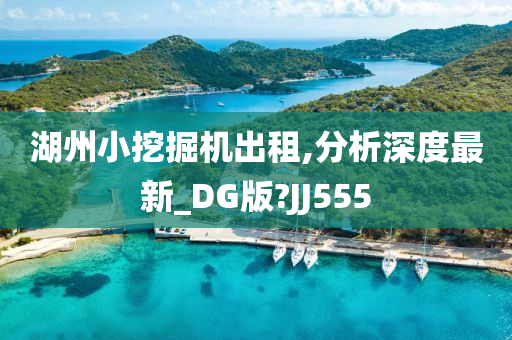 湖州小挖掘机出租,分析深度最新_DG版?JJ555