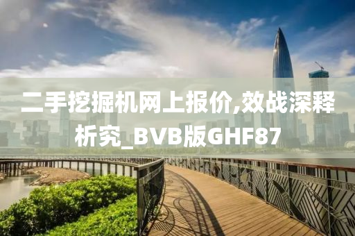 二手挖掘机网上报价,效战深释析究_BVB版GHF87