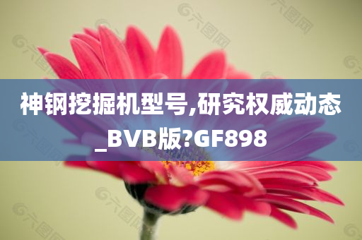 神钢挖掘机型号,研究权威动态_BVB版?GF898