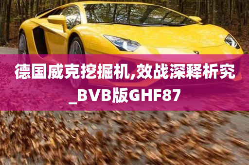 德国威克挖掘机,效战深释析究_BVB版GHF87