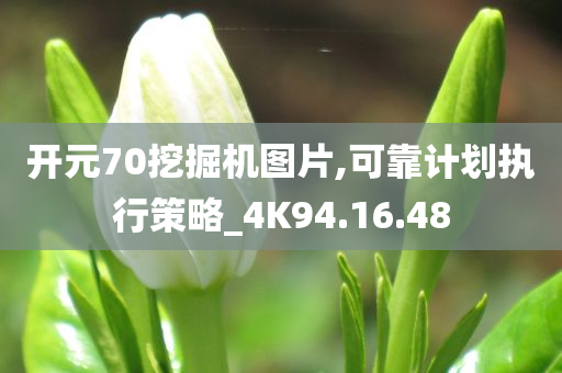 开元70挖掘机图片,可靠计划执行策略_4K94.16.48