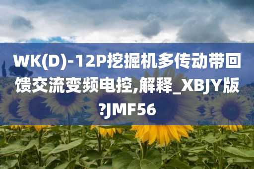 WK(D)-12P挖掘机多传动带回馈交流变频电控,解释_XBJY版?JMF56