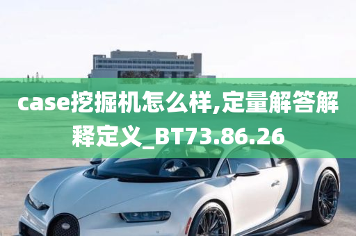 case挖掘机怎么样,定量解答解释定义_BT73.86.26