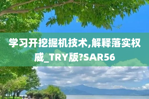 学习开挖掘机技术,解释落实权威_TRY版?SAR56