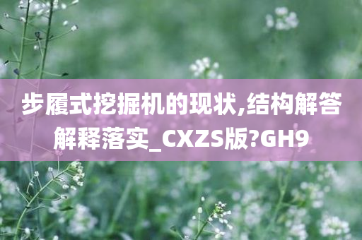 步履式挖掘机的现状,结构解答解释落实_CXZS版?GH9