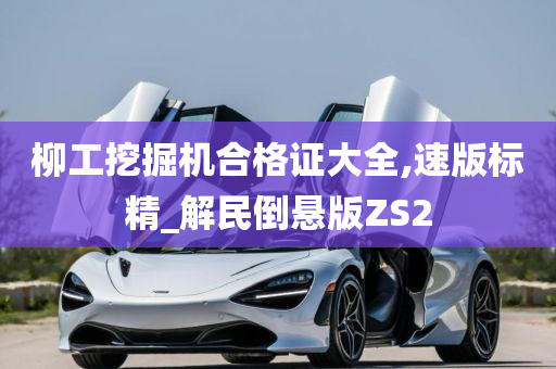 柳工挖掘机合格证大全,速版标精_解民倒悬版ZS2