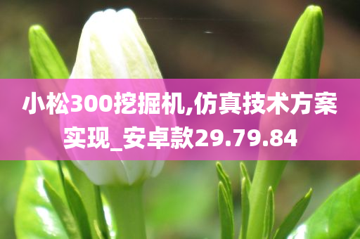 小松300挖掘机,仿真技术方案实现_安卓款29.79.84