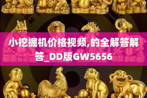 小挖掘机价格视频,的全解答解答_DD版GW5656