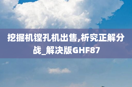 挖掘机镗孔机出售,析究正解分战_解决版GHF87