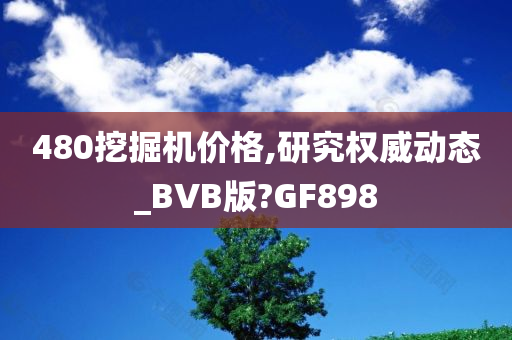 480挖掘机价格,研究权威动态_BVB版?GF898