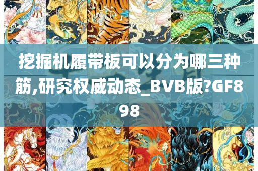 挖掘机履带板可以分为哪三种筋,研究权威动态_BVB版?GF898