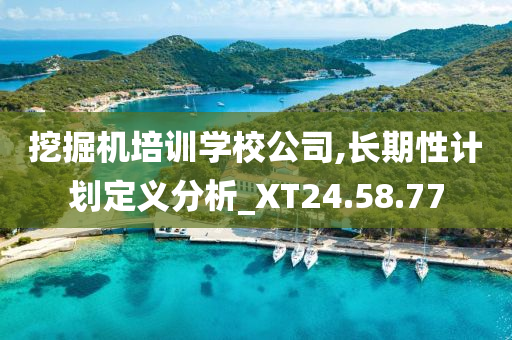 挖掘机培训学校公司,长期性计划定义分析_XT24.58.77