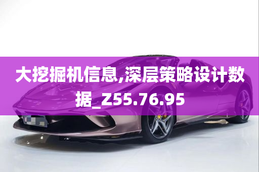 大挖掘机信息,深层策略设计数据_Z55.76.95