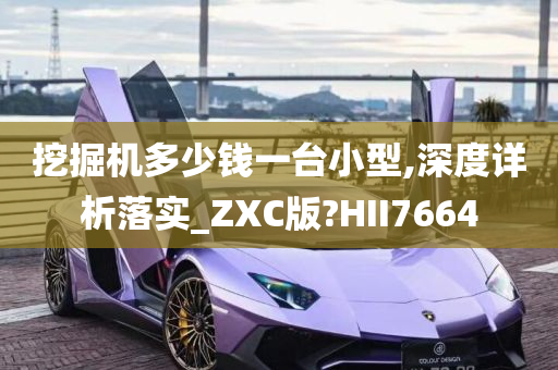 挖掘机多少钱一台小型,深度详析落实_ZXC版?HII7664