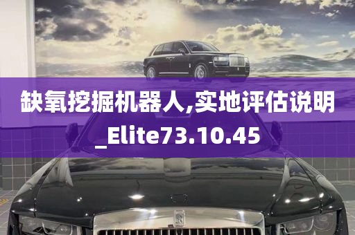 缺氧挖掘机器人,实地评估说明_Elite73.10.45