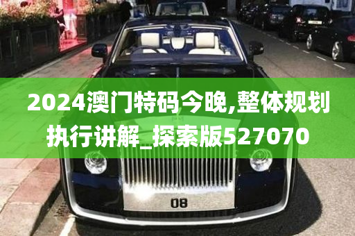 2024澳门特码今晚,整体规划执行讲解_探索版527070