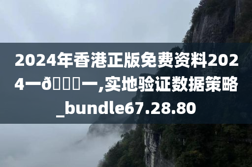 2024年香港正版免费资料2024一🐎一,实地验证数据策略_bundle67.28.80