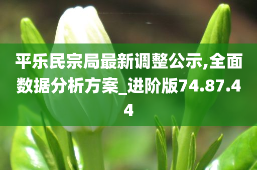 平乐民宗局最新调整公示,全面数据分析方案_进阶版74.87.44