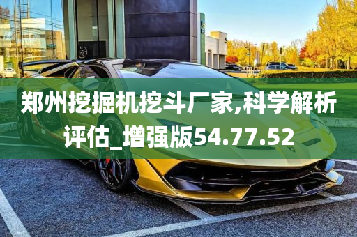 郑州挖掘机挖斗厂家,科学解析评估_增强版54.77.52