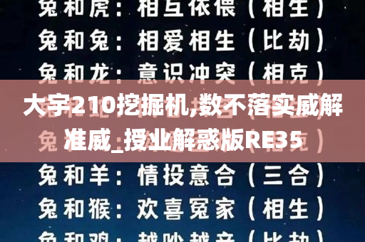 大宇210挖掘机,数不落实威解准威_授业解惑版RE35