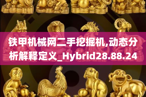 铁甲机械网二手挖掘机,动态分析解释定义_Hybrid28.88.24