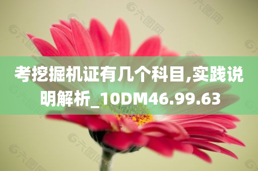 考挖掘机证有几个科目,实践说明解析_10DM46.99.63