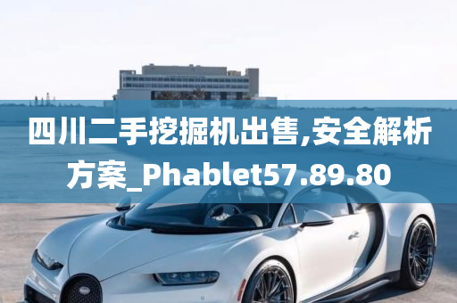 四川二手挖掘机出售,安全解析方案_Phablet57.89.80