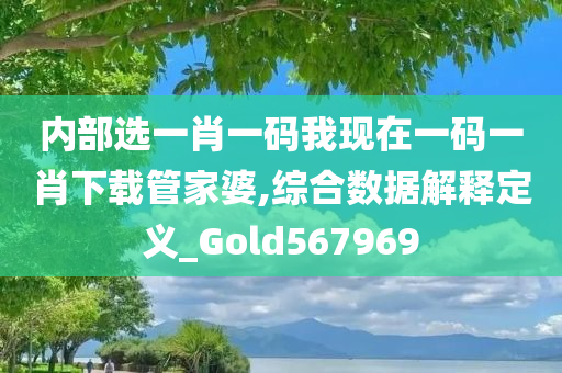 内部选一肖一码我现在一码一肖下载管家婆,综合数据解释定义_Gold567969