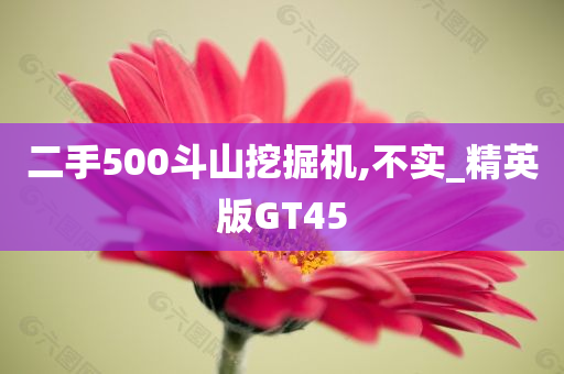 二手500斗山挖掘机,不实_精英版GT45