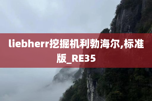 liebherr挖掘机利勃海尔,标准版_RE35