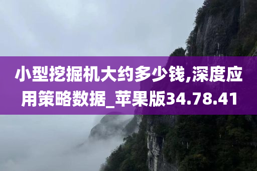 小型挖掘机大约多少钱,深度应用策略数据_苹果版34.78.41