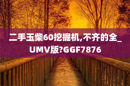 二手玉柴60挖掘机,不齐的全_UMV版?GGF7876